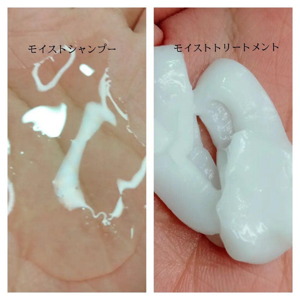 モイストリペア シャンプー/トリートメント /Canael Style /市販シャンプーを使ったクチコミ(2枚目)
