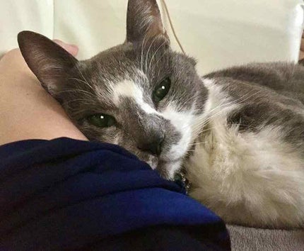 キャンドゥ購入品😄💞/キャンドゥ/その他を使ったクチコミ(2枚目)