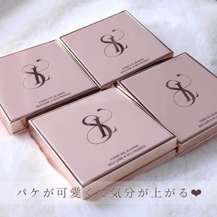 フォギーヴェールブラッシャー/SELVE/パウダーチークを使ったクチコミ(9枚目)