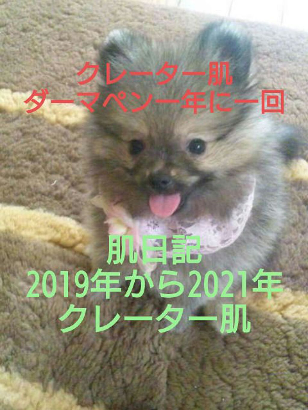 マツキヨ セラミド化粧水/matsukiyo/化粧水を使ったクチコミ(1枚目)