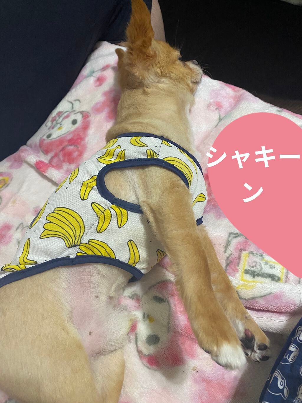 バブ クール フラワースプラッシュ/バブ/炭酸系入浴剤を使ったクチコミ(6枚目)