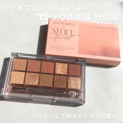 プロ アイ パレット/CLIO/アイシャドウパレットを使ったクチコミ(2枚目)
