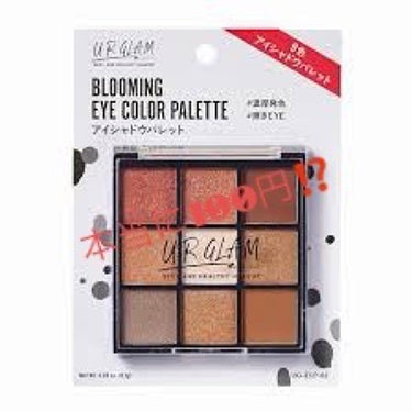 UR GLAM　LIP OIL/U R GLAM/リップグロスを使ったクチコミ（1枚目）