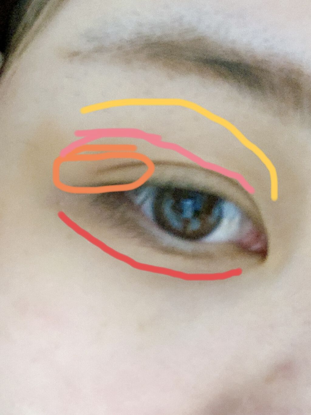 ディオール バックステージ アイ パレット/Dior/アイシャドウパレットを使ったクチコミ（2枚目）