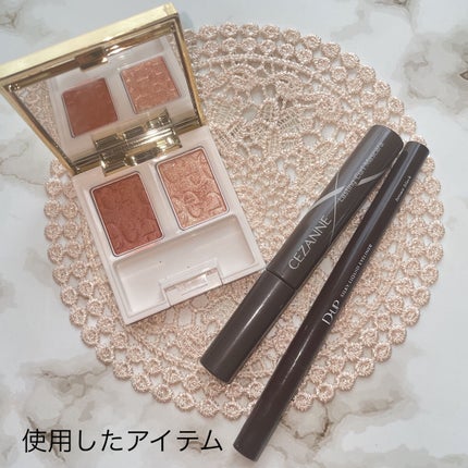 シルキーリキッドアイライナーWP/D-UP/リキッドアイライナーを使ったクチコミ(3枚目)