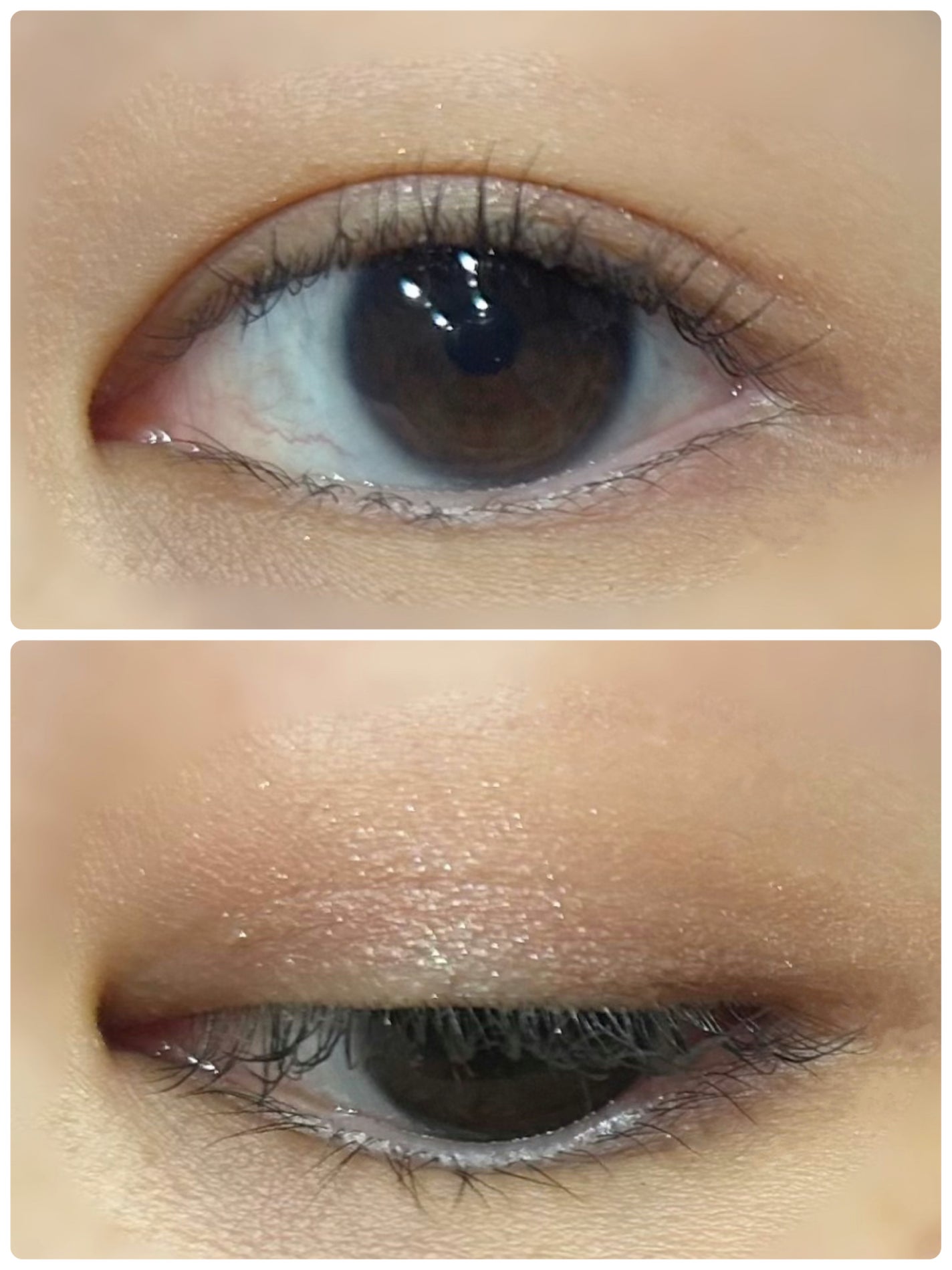 パノラマデザイン アイパレット/Visée/アイシャドウパレットを使ったクチコミ(2枚目)