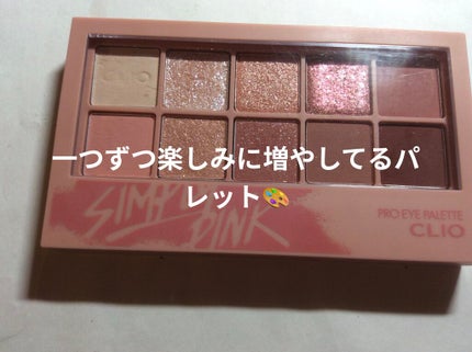 プロ アイ パレット/CLIO/アイシャドウパレットを使ったクチコミ(1枚目)