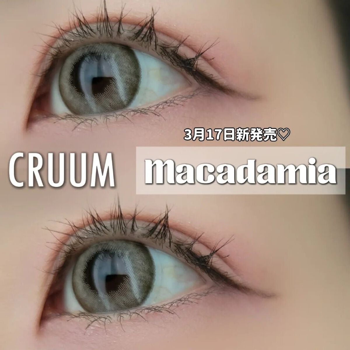 CRUUM 1day/CRUUM/ワンデー(1DAY)カラコンを使ったクチコミ(1枚目)