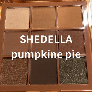  诗蒂娅九色眼影盘 (9 Colors Eye Shadow Palette)/SHEDELLA/アイシャドウパレットを使ったクチコミ（1枚目）