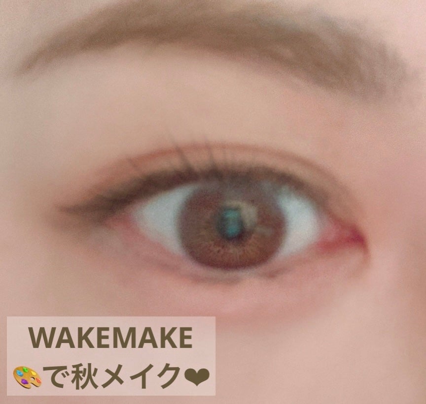 ソフトブラーリングアイパレット/wakemake/アイシャドウパレットを使ったクチコミ(1枚目)