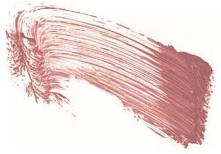 504 ミルクティーマロン