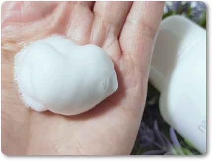 ヘパフォーム(医薬品)/ナチュラブルプラス/その他を使ったクチコミ(1枚目)