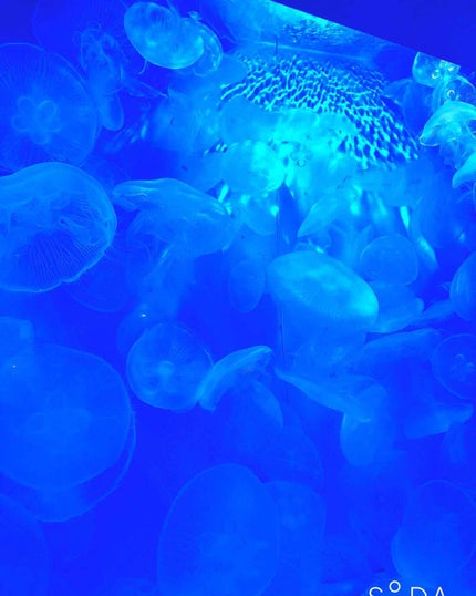 エアブラシフローレスフィニッシュ/Charlotte Tilbury/プレストパウダーを使ったクチコミ(1枚目)