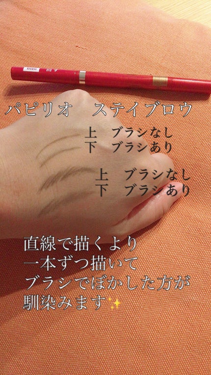 ステイブロウ/Papilio/アイブロウペンシルを使ったクチコミ(1枚目)