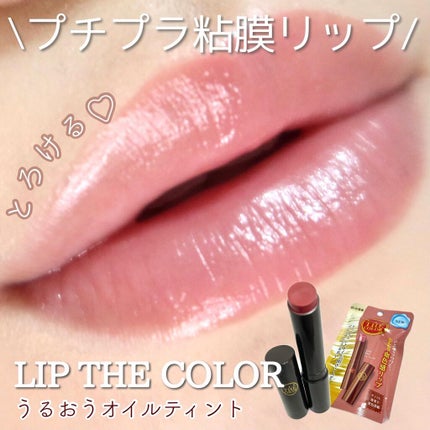リップザカラー/リップザカラー/口紅を使ったクチコミ(1枚目)