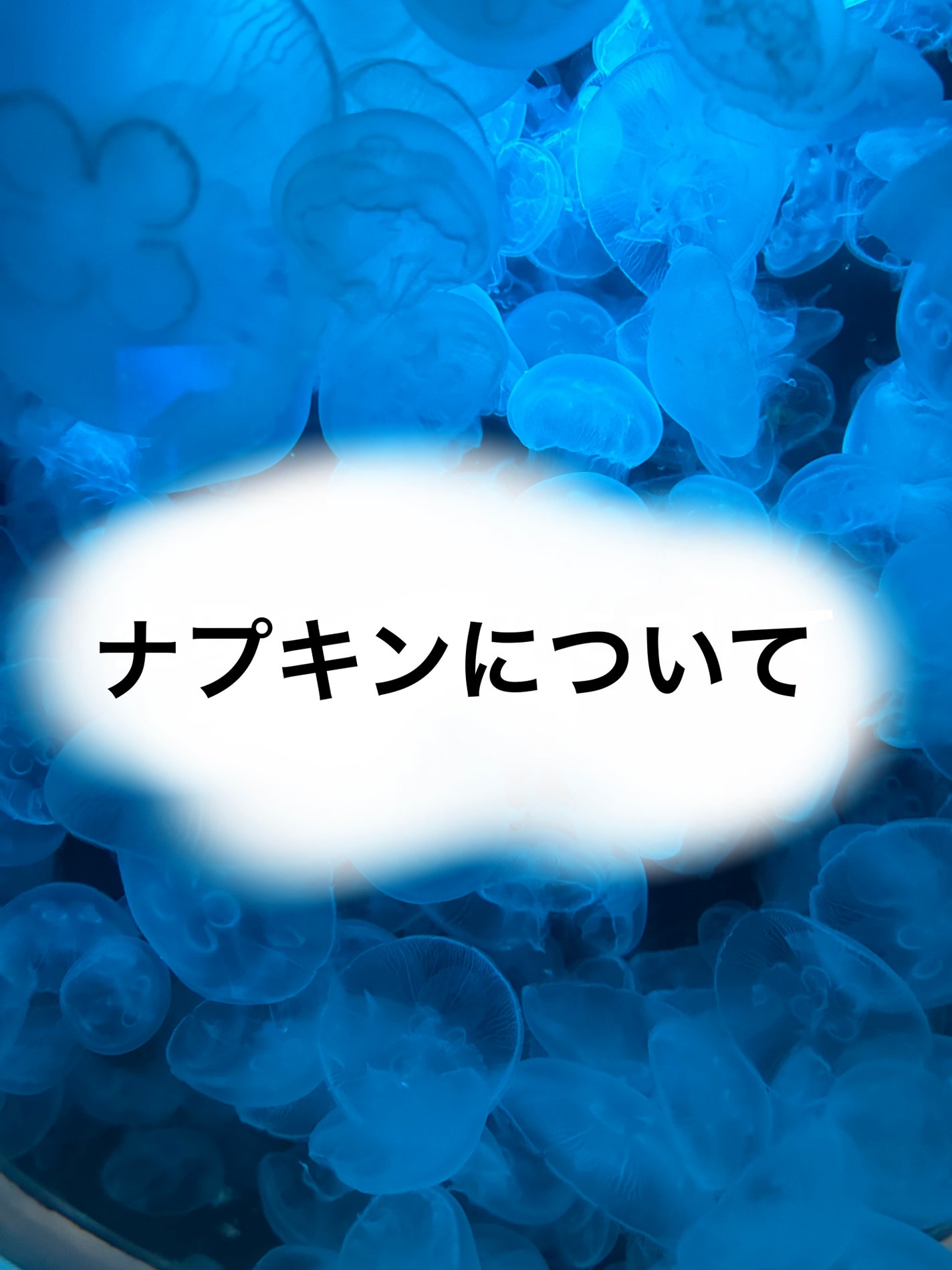 朝までブロック 安心ショーツタイプ(M-L 5コ入)/ロリエ/ナプキンを使ったクチコミ(1枚目)