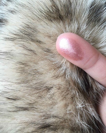 スパークリング ジェム/DAZZSHOP/ジェル・クリームアイシャドウを使ったクチコミ(2枚目)