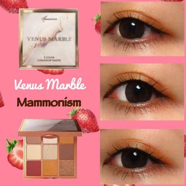 VenusMarble 9色アイシャドウパレット/Venus Marble/アイシャドウパレットを使ったクチコミ（1枚目）