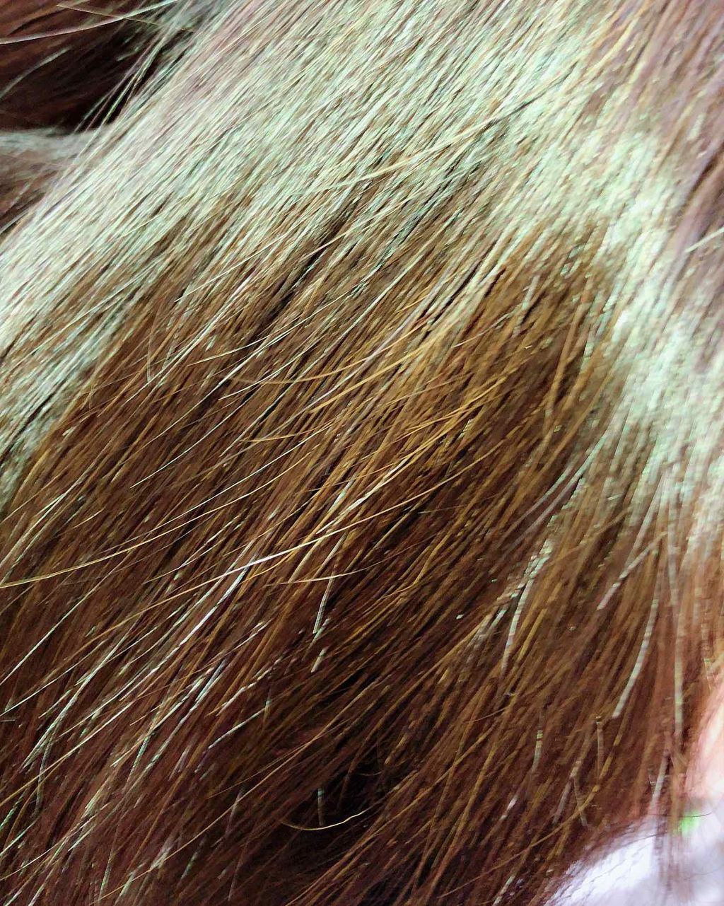 地肌も髪も洗えるマッサージ美容クリーム/セグレタ/市販シャンプーを使ったクチコミ(4枚目)