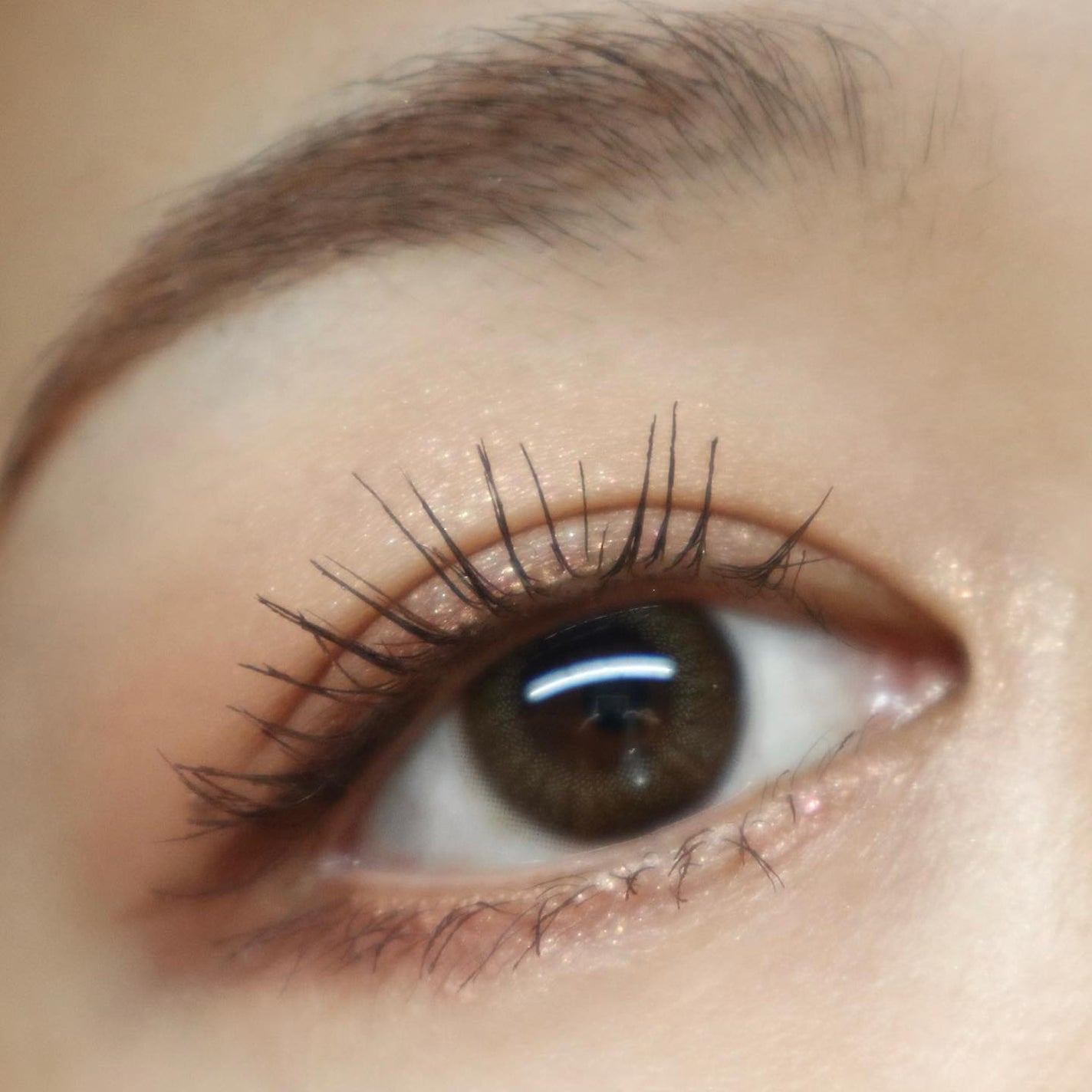 ベージュトーンアイシャドウ/CEZANNE/アイシャドウパレットを使ったクチコミ(6枚目)