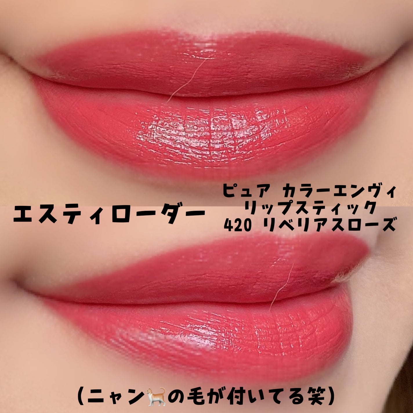 ピュア カラー エンヴィ リップスティック/ESTEE LAUDER/口紅を使ったクチコミ(2枚目)