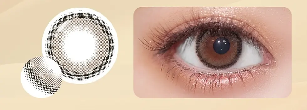 Ferenne 1day シャルムグレー