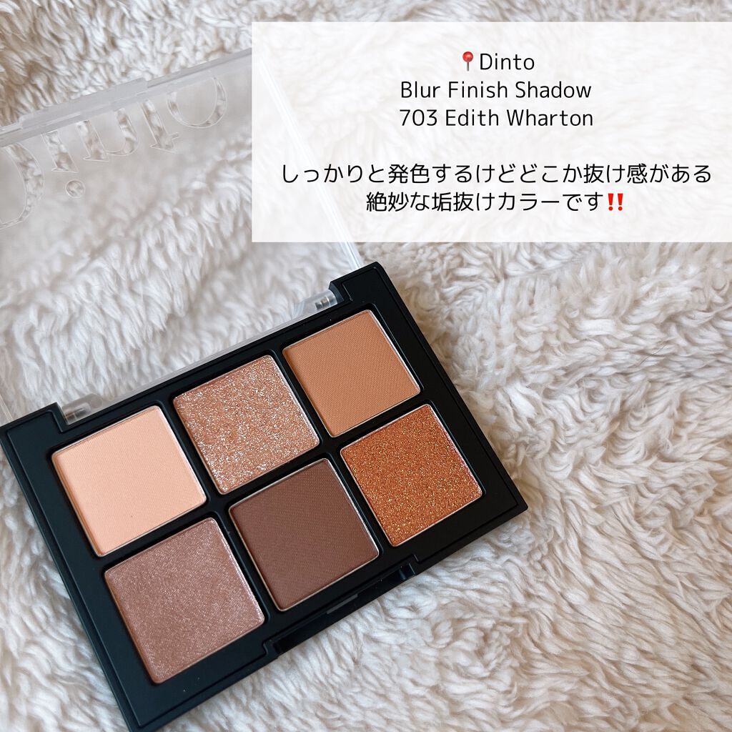 ブラーフィニシュシャドウパレット/Dinto/アイシャドウパレットを使ったクチコミ（3枚目）