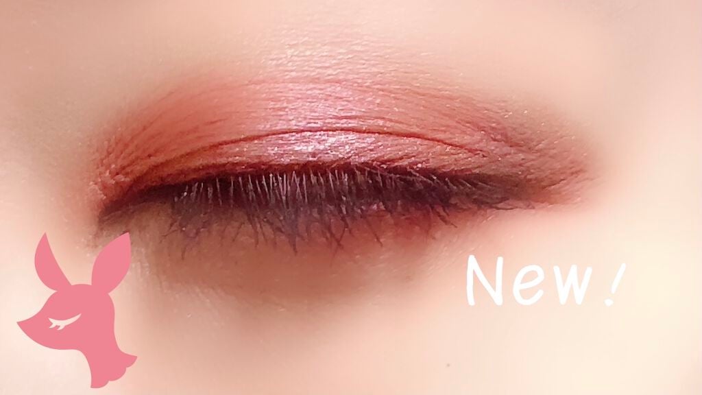 サンク クルール クチュール<バーズ オブ ア フェザー>/Dior/アイシャドウパレットを使ったクチコミ(5枚目)