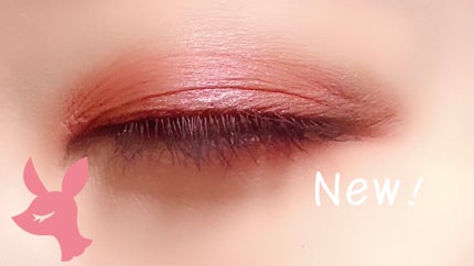 サンク クルール クチュール<バーズ オブ ア フェザー>/Dior/アイシャドウパレットを使ったクチコミ(5枚目)