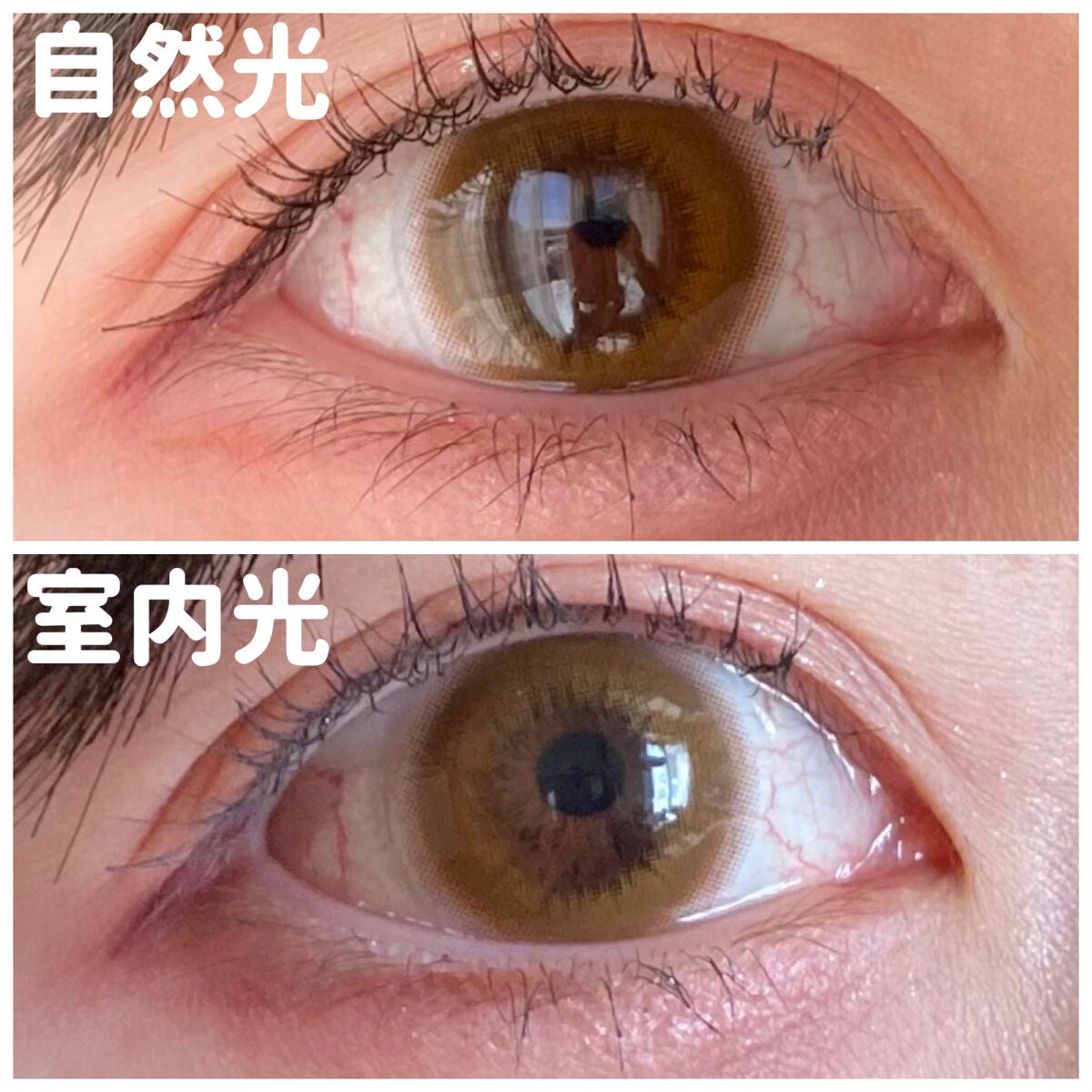 Jill Sanctuary/グラムレンズ/カラーコンタクトレンズを使ったクチコミ(7枚目)