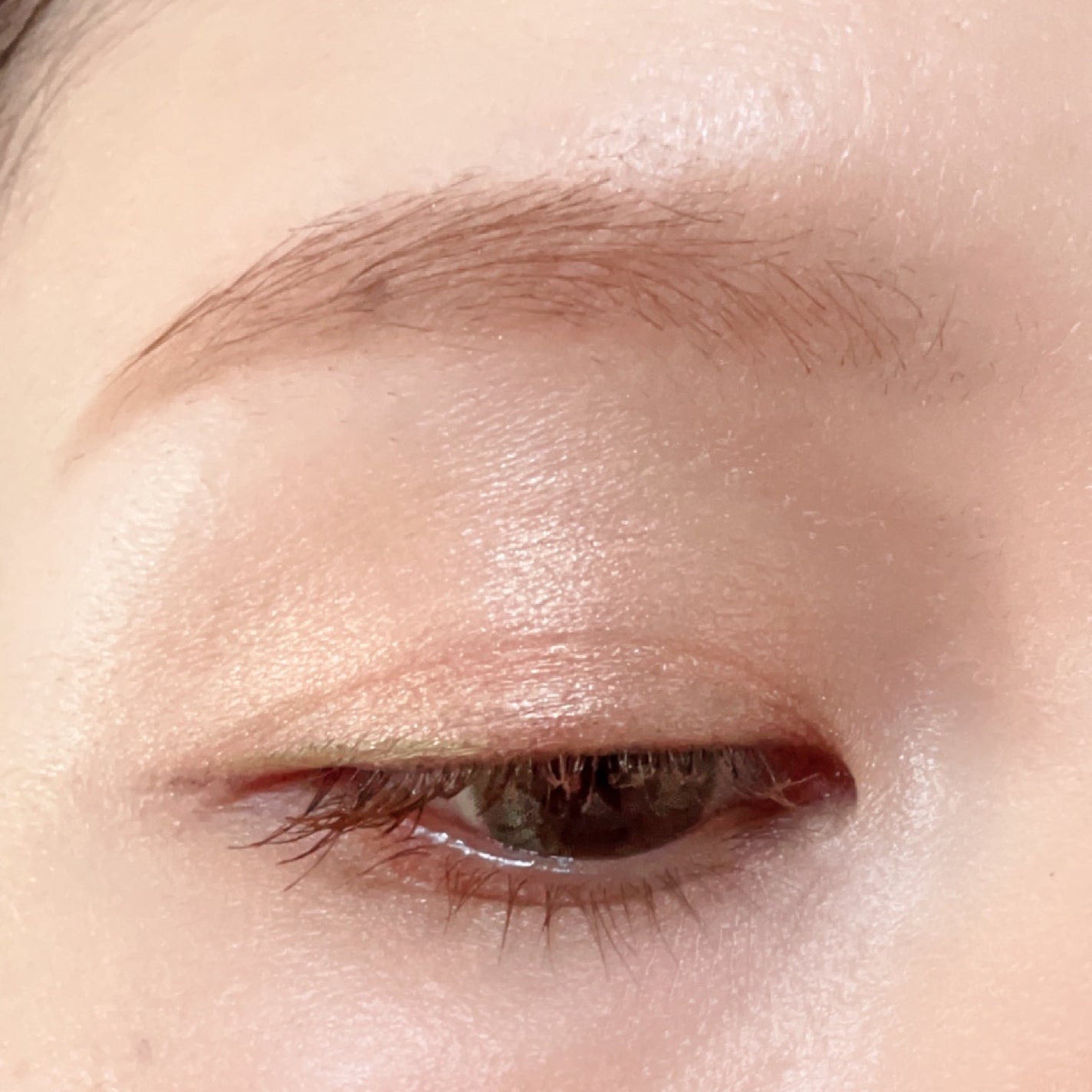 スタイリングアイゾーンコンパクト/LUNASOL/アイシャドウパレットを使ったクチコミ(1枚目)