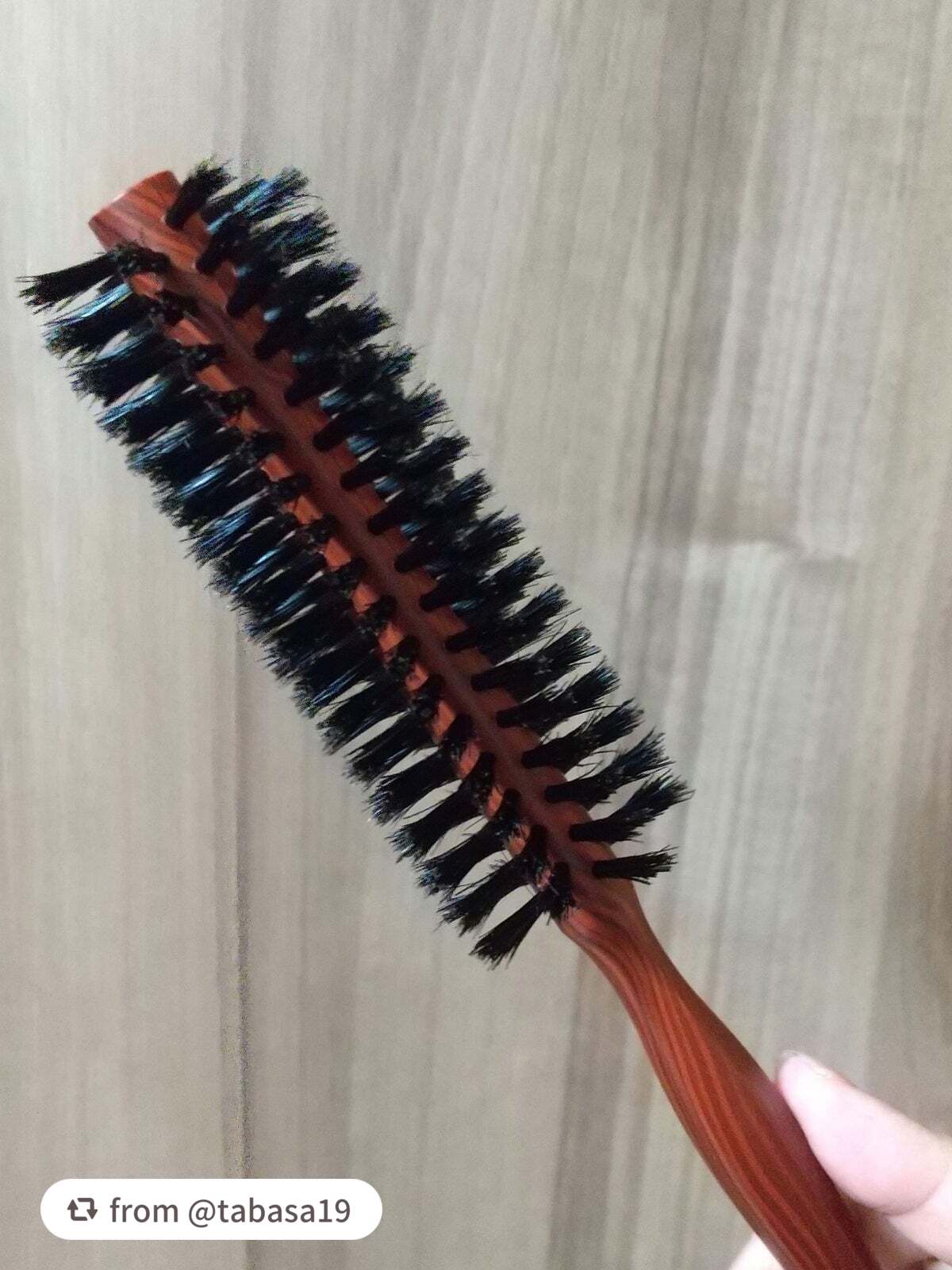 獣毛ロールブラシ/SHOBIDO/その他スタイリングを使ったクチコミ(2枚目)