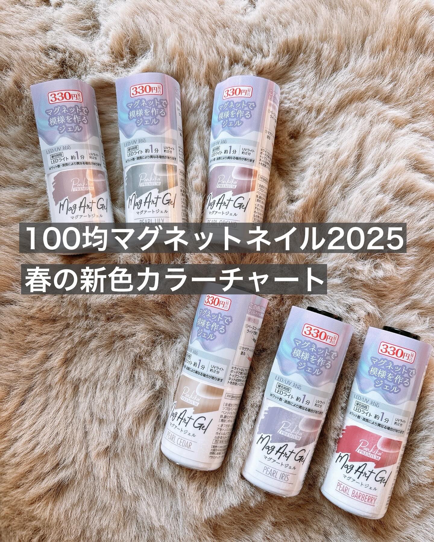 パルP マグアートジェル/parkikoi/ジェルネイルを使ったクチコミ（1枚目）