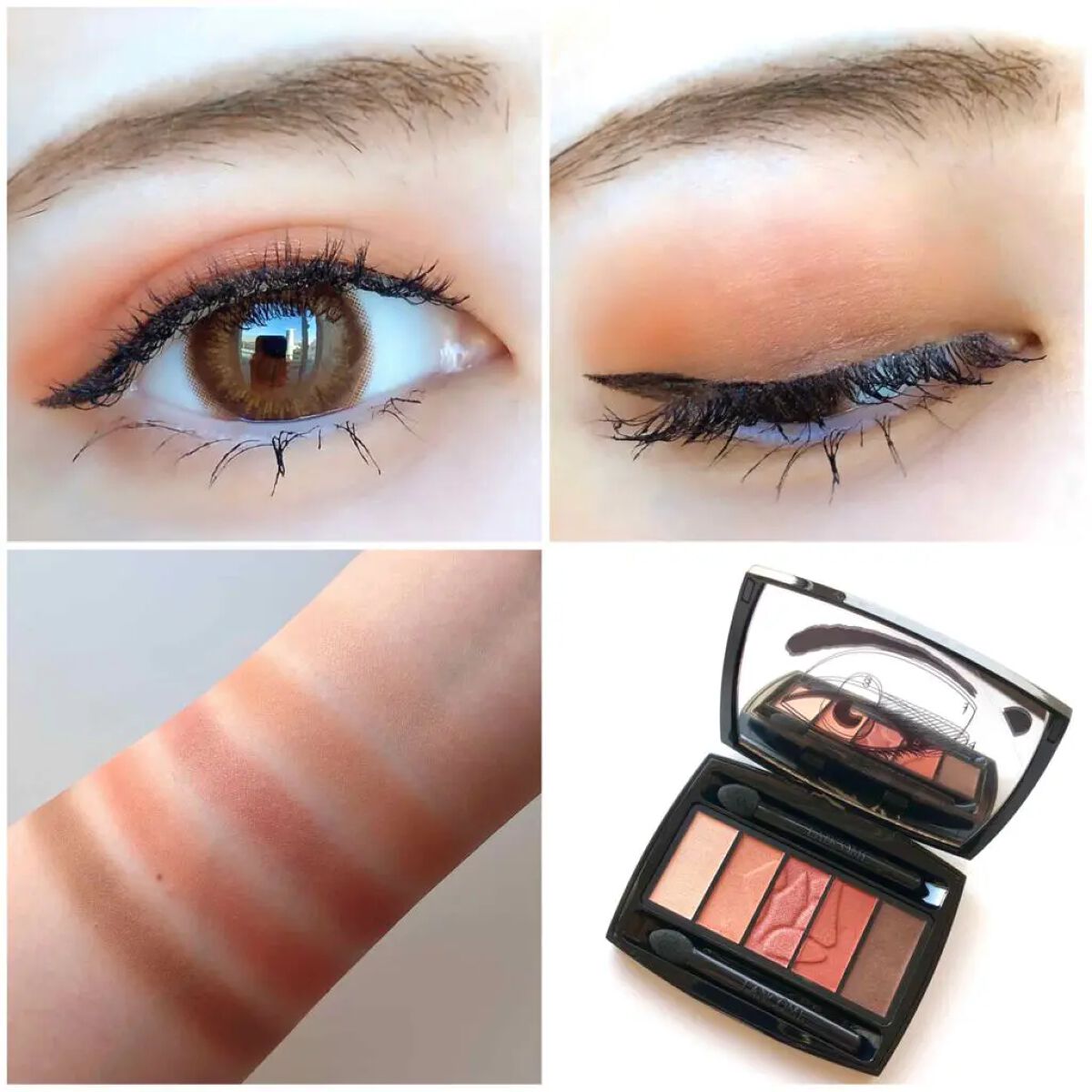 イプノ パレット 11 テール ドゥ シエナ