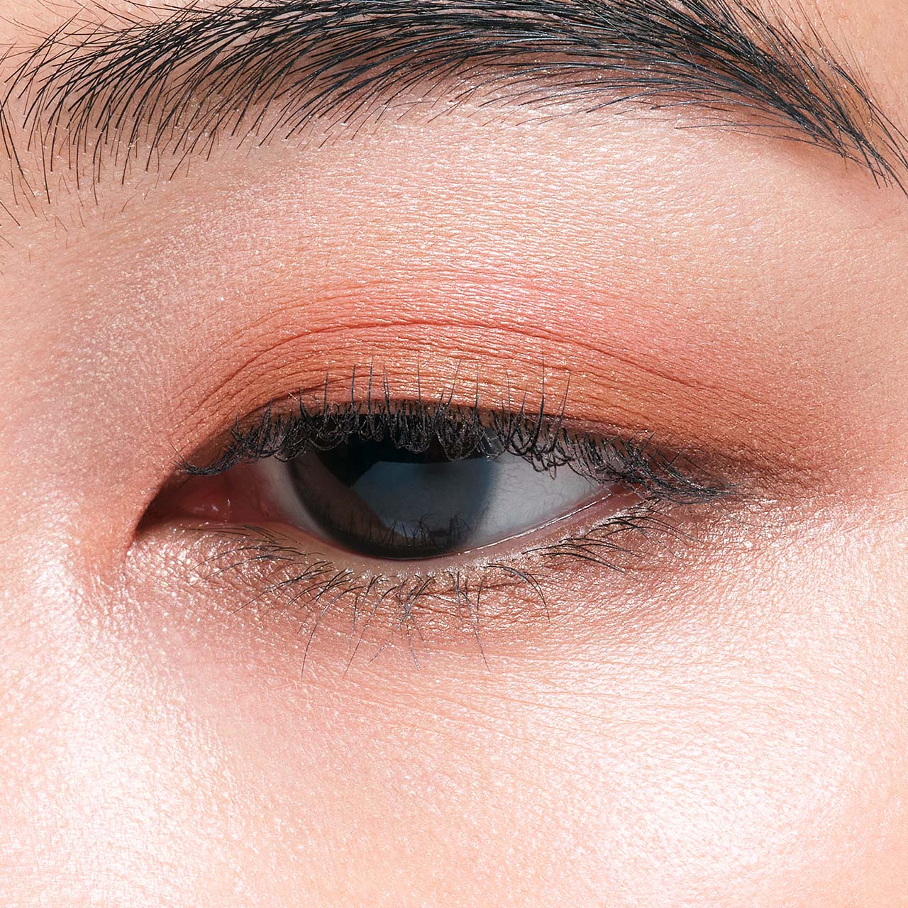 ★新品、未使用★エレガンス アイカラー 29×マスカラ BK10 セット 楽天市場】【2025.04.18 発売】 RD82 NEW COLOR Elegance エレガンス