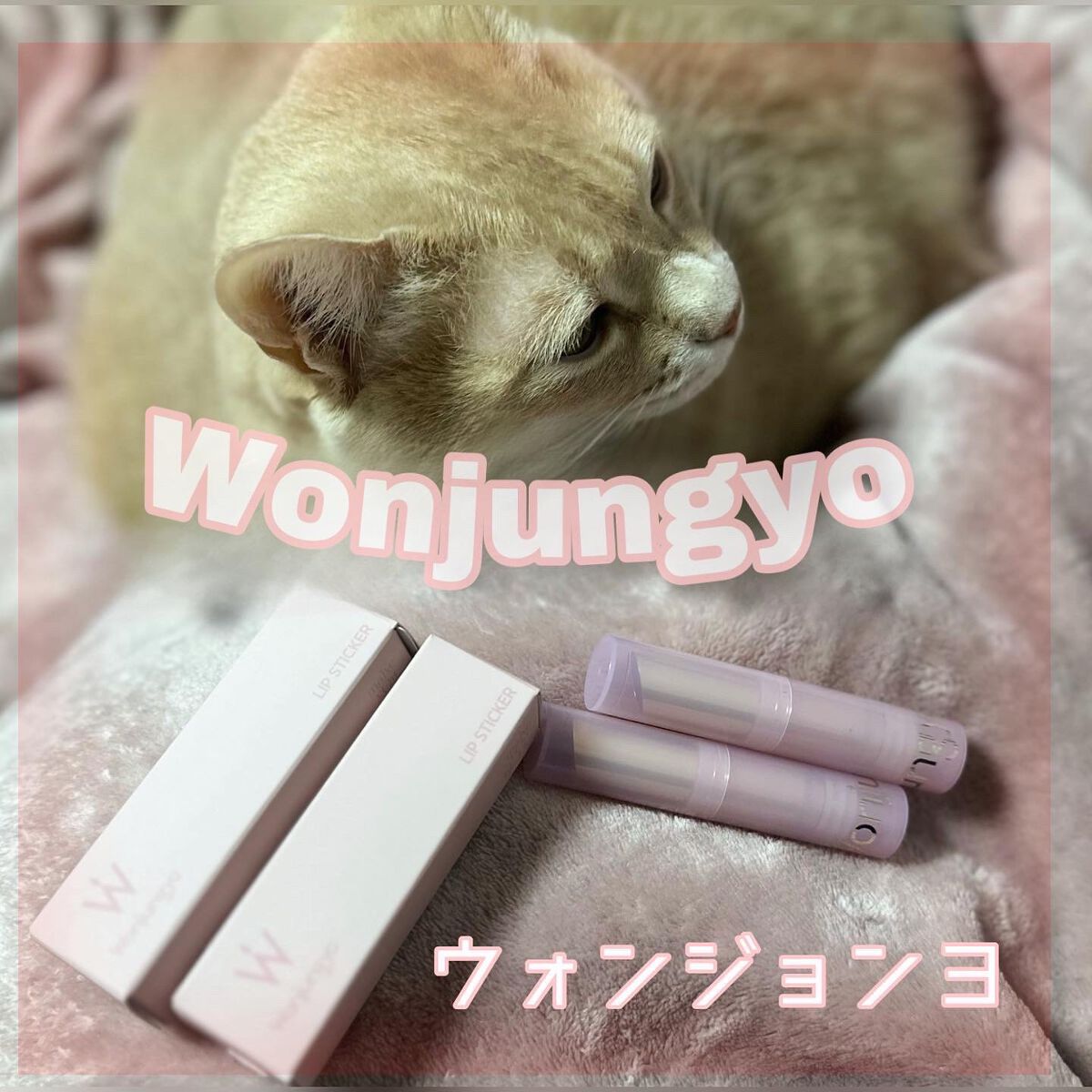 ウォンジョンヨ リップステッカー 05 ブリックブラウン/Wonjungyo/口紅を使ったクチコミ（1枚目）