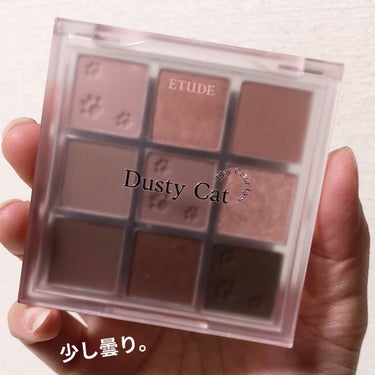 プレイカラーアイズ ダスティキャット/ETUDE/アイシャドウパレットを使ったクチコミ（3枚目）