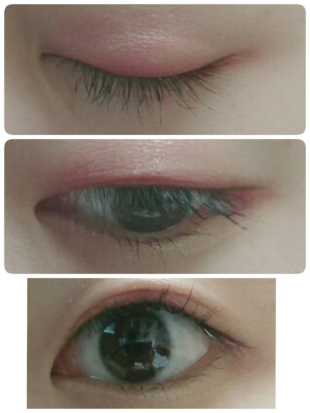 シャドーカスタマイズ/MAJOLICA MAJORCA/単色アイシャドウを使ったクチコミ（3枚目）