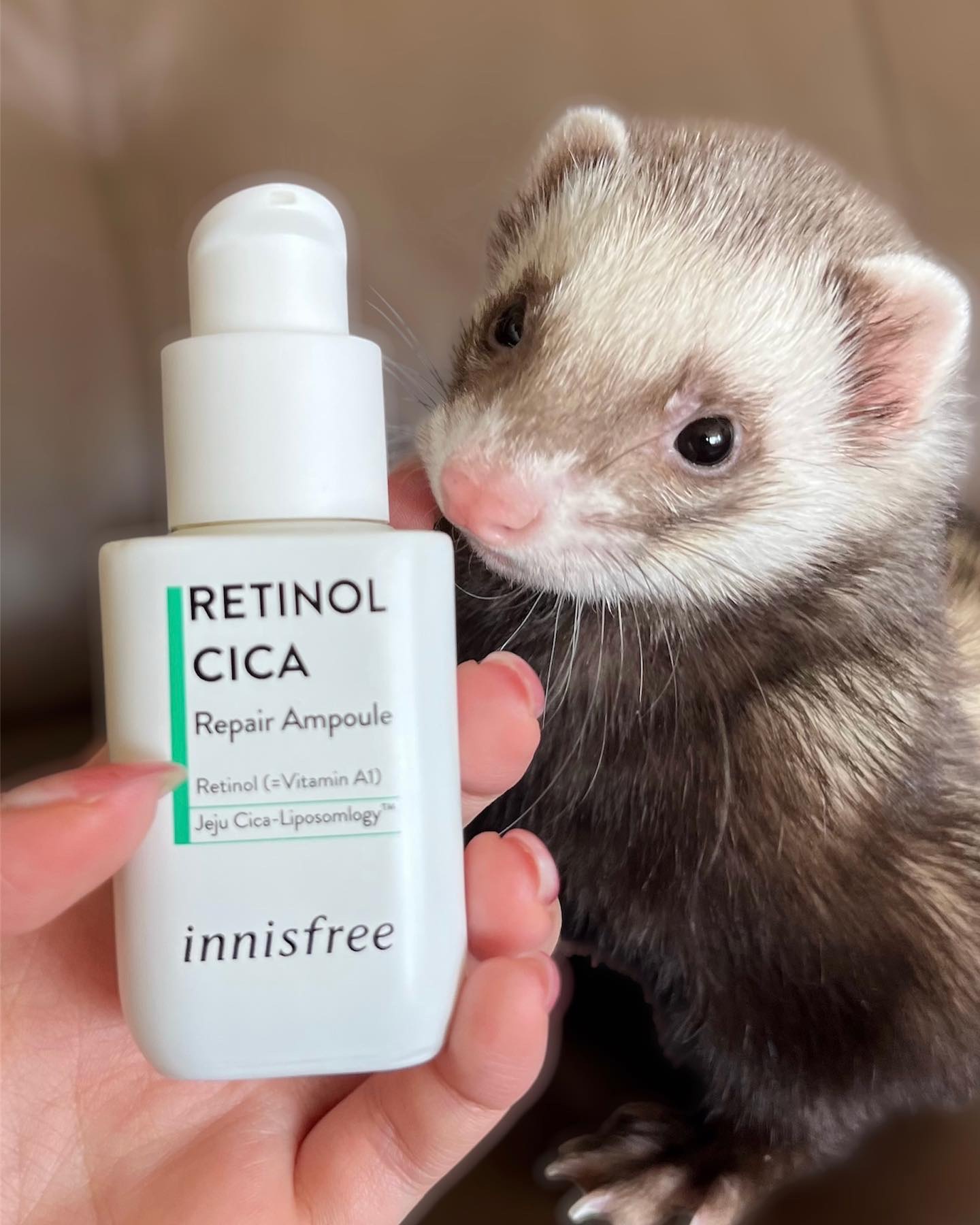 レチノール　シカ　リペア　セラム/innisfree/美容液を使ったクチコミ（2枚目）