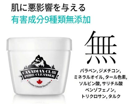 カナディアンクレイ ポア クレンザー/NEOGEN/洗い流すパック・マスクを使ったクチコミ(7枚目)