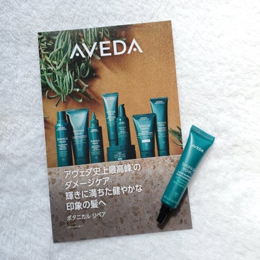 ボタニカル リペア ボンドビルディング フラッシュ トリートメント/AVEDA/洗い流すヘアトリートメントを使ったクチコミ（3枚目）