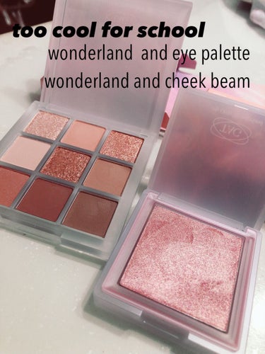 TAG WONDERLAND EYE PALETTE/too cool for school/アイシャドウパレットを使ったクチコミ（1枚目）