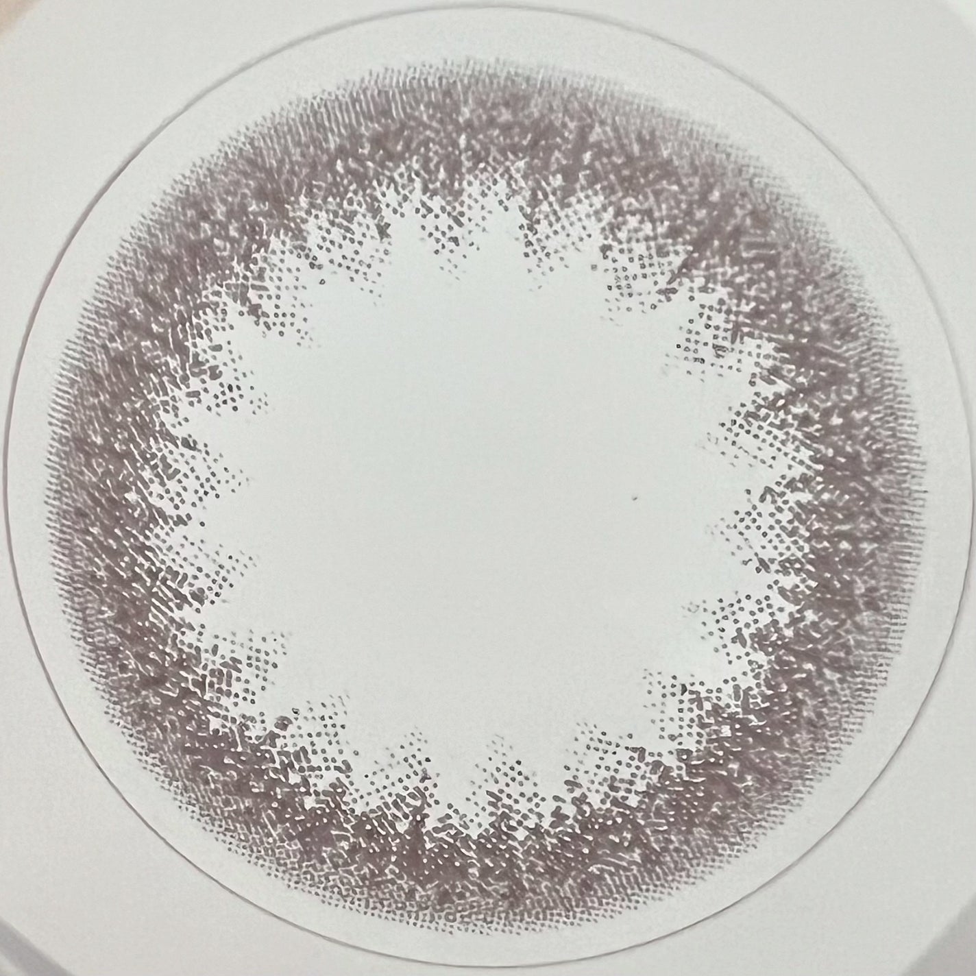 エルージュ 2weeks/éRouge/2週間(2WEEKS)カラコンを使ったクチコミ(6枚目)