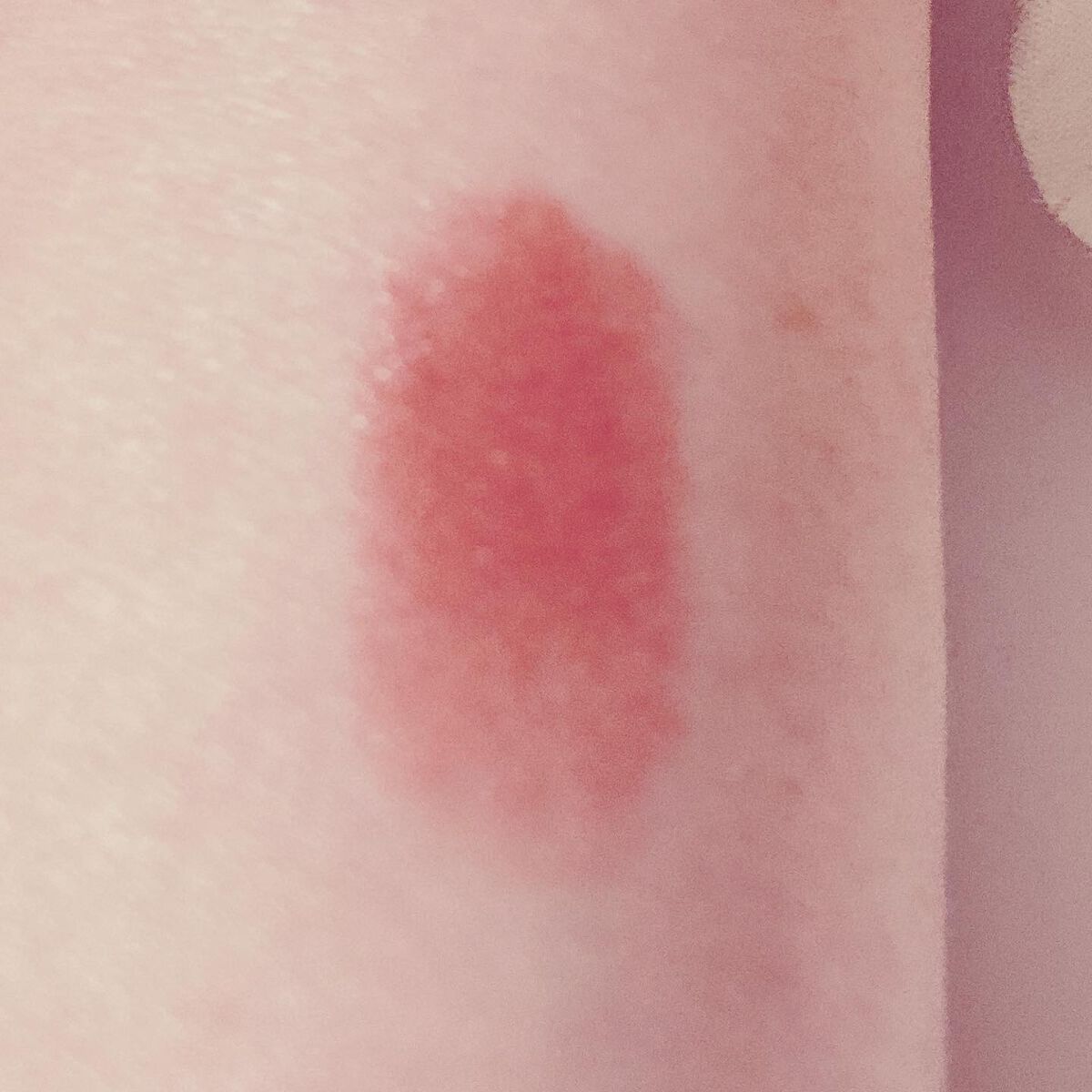 ルージュ ココ ブルーム /CHANEL/口紅を使ったクチコミ（3枚目）