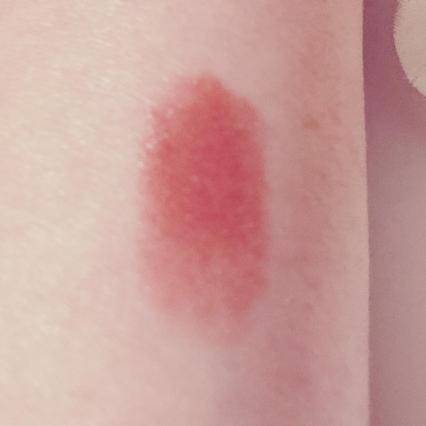 ルージュ ココ ブルーム /CHANEL/口紅を使ったクチコミ（3枚目）