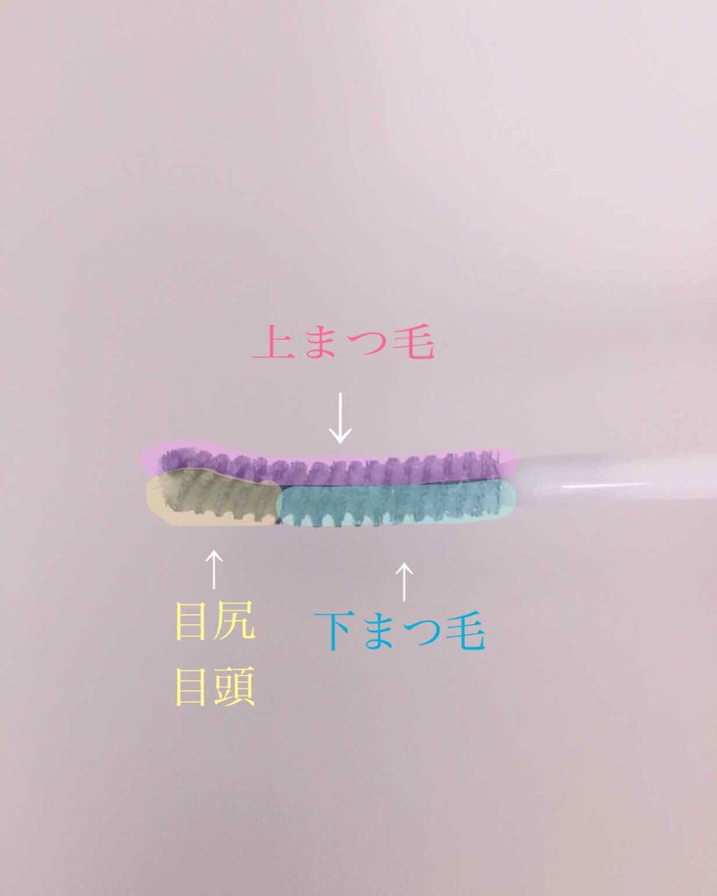 クイックラッシュカーラーER/キャンメイク/マスカラ下地を使ったクチコミ(2枚目)