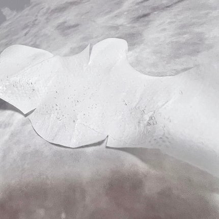 毛穴モップ (3STEP NOSE PACK)/YAMMY’S TOY/洗い流すパック・マスクを使ったクチコミ(5枚目)