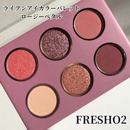 ライプンアイカラーパレット/FRESHO2/アイシャドウパレットを使ったクチコミ(2枚目)