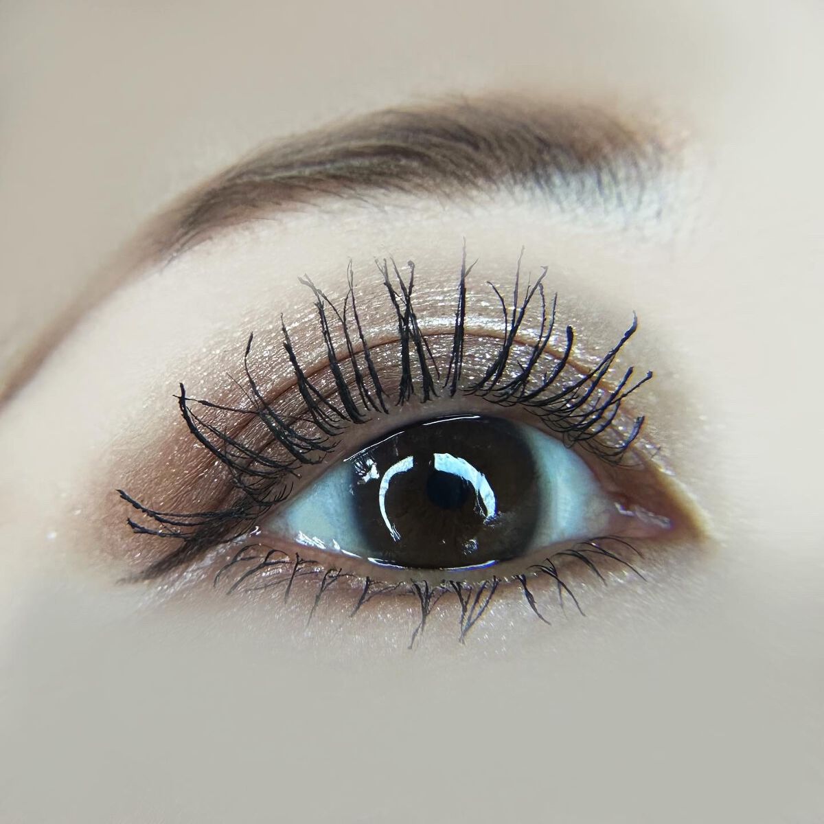 アイカラーレーション スペシャルエディション/LUNASOL/アイシャドウパレットを使ったクチコミ(3枚目)