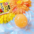 蒟蒻しゃぼん 沖縄 マンゴー洗顔石鹸